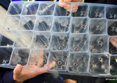 De tray nog eens van dichtbij.